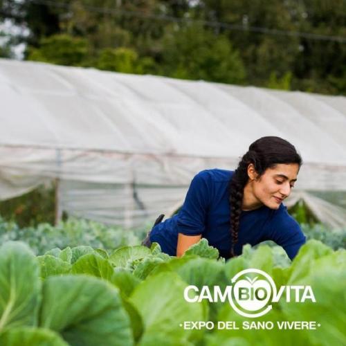 Cambiovita - Catania