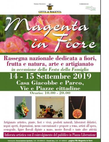 Magenta In Fiore - Magenta