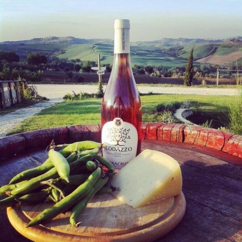 Scampagnata & Pic Nic Del 1° Maggio A Terracruda! - Fratte Rosa