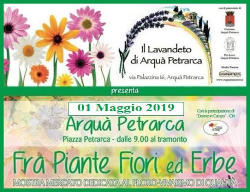 Fra Piante Fiori Ed Erbe - Arquà Petrarca