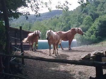 Camminaparchi - Corniglio