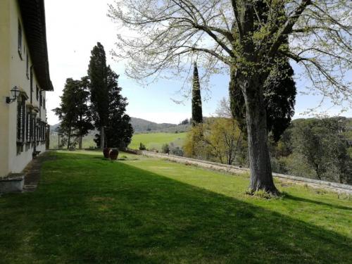 Succo D'uva E La Banda Del Naturale - Impruneta