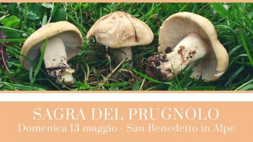 Sagra Del Prugnolo A San Benedetto In Alpe - Portico E San Benedetto