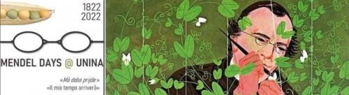 Maggio Con Le Nuvole - Napoli