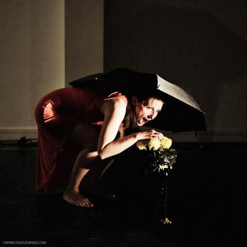 Ambra Gatto Bergamasco - Torino