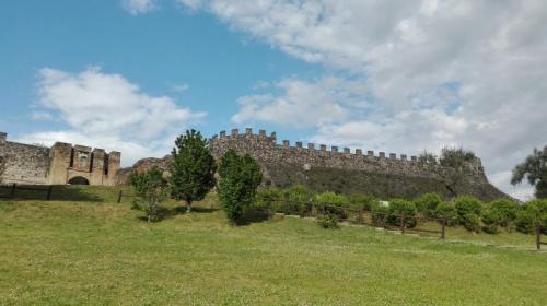 Viviparchi Festival - Lonato Del Garda
