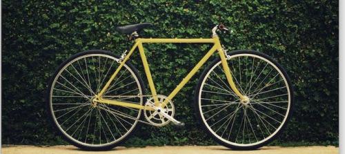 Gran Premio Diemme Enologia - Lugo