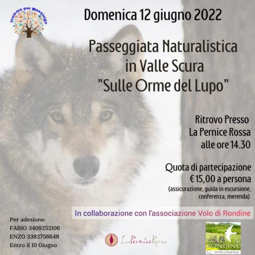 I Lupi Son Tornati - Menconico