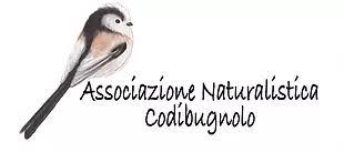 Luci E Suoni In Garzaia Al Tramonto - Pieve Del Cairo