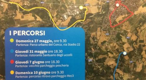 Camminate Della Salute - Morciano Di Romagna