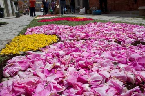 Infiorata A San Marco Dei Cavoti - San Marco Dei Cavoti