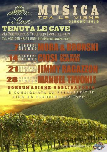 Musica Tra Le Vigne - Tregnago