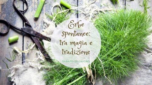 Erbe Spontanee: Tra Magia E Tradizione - Sassoferrato