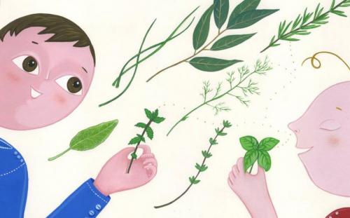 Non Solo Per Mangiare - Sassoferrato