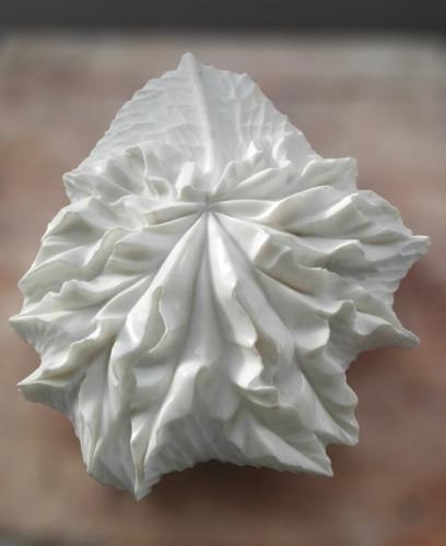 Personale Di Maki Nakamura - Carrara