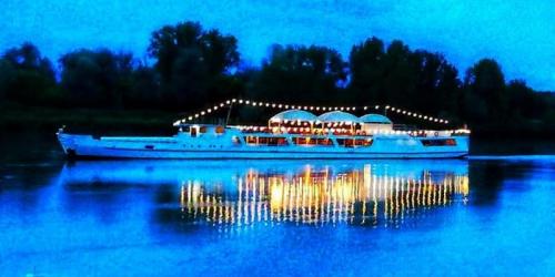 Festa Delle Luminarie Sul Po Viadana - Viadana