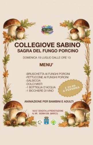 Sagra Dei Funghi Porcini A Collegiove - Collegiove