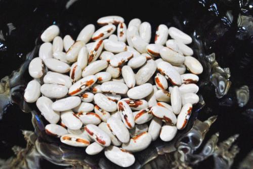 Segreti, Sapori E Solidarietà A Pulsano - Pulsano