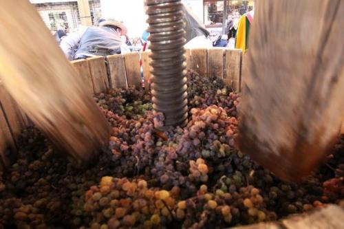 Calici Di Stelle A Breganze - Breganze