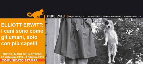 Mostra Di Elliott Erwitt A Treviso - Treviso