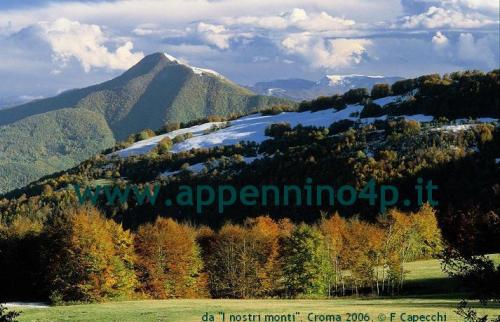 Feste Tradizionali Estive In Programma Nelle Quattro Province - 