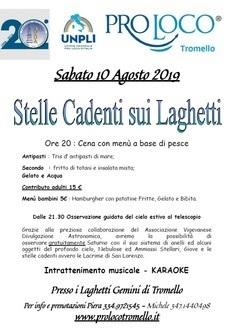 Stelle Cadenti Sui Laghetti Gemini A Tromello - Tromello