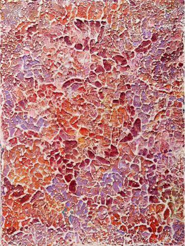 La Mostra Ho Incontrato La Vita In Un Filo D’erba - Milano