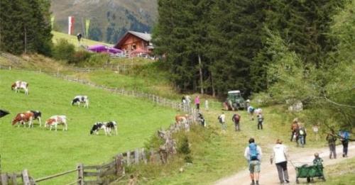 Festa Delle Malghe In Val Casies - 