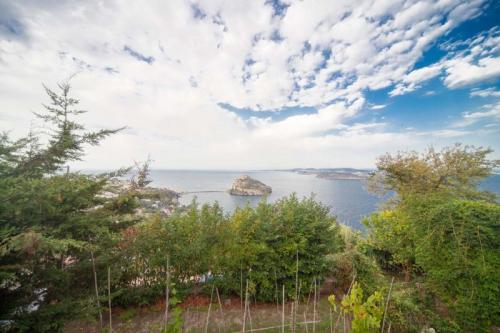 Andar Per Cantine A Ischia - Ischia