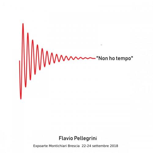 Non Ho Tempo Di Flavio Pellegrini A Montichiari - Montichiari