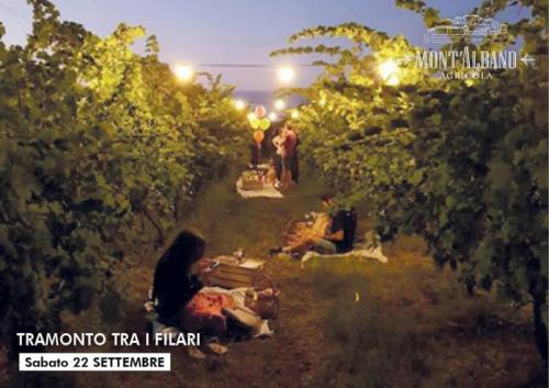 Tramonto Tra I Filari A Povoletto - Povoletto