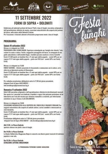 La Festa Dei Funghi A Forni Di Sopra - Forni Di Sopra