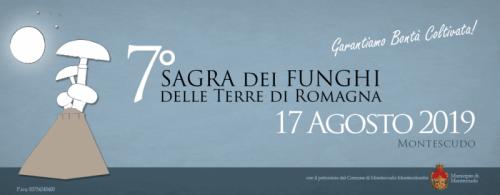 La Sagra Dei Funghi A Montescudo - Montescudo-Monte Colombo