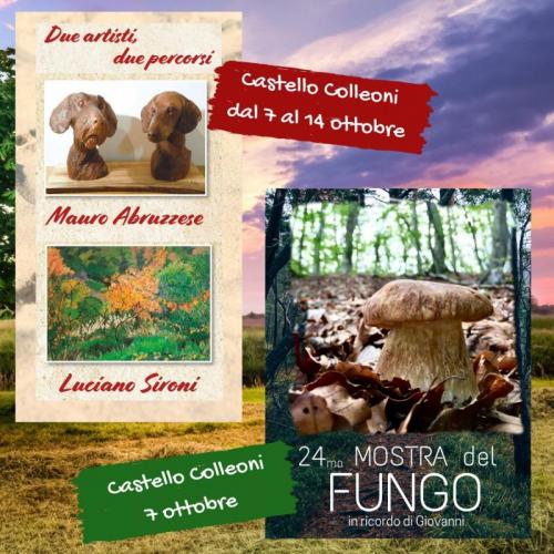 Mostre Al Castello Colleoni A Solza - Solza