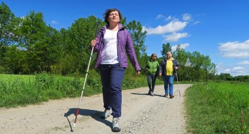 In Cammino, In Ogni Senso A Roppolo - Roppolo