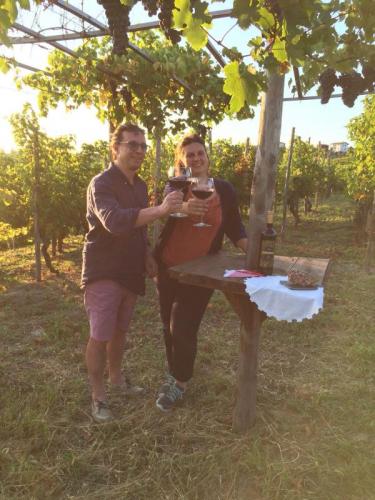 Festa Del Vino Novello A Bosnasco - Bosnasco