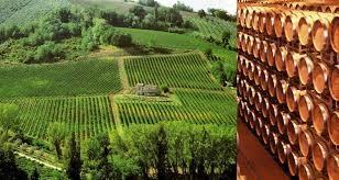 I Vini Delle Marche A Bologna - Bologna