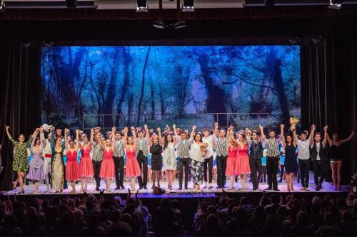 Il Professional Ballet Di Pina Testa A Salerno - Salerno