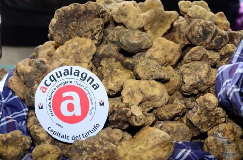 Grand Tour Delle Marche A Acqualagna - Acqualagna