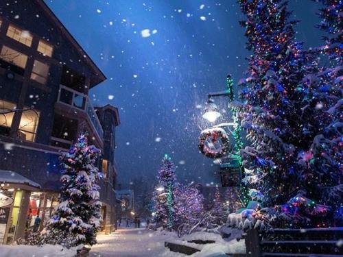 Talenti Natalizi A Roma - Roma