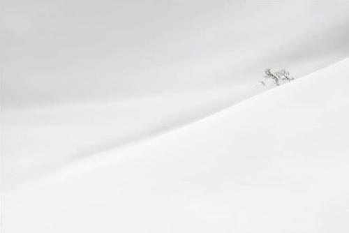 Altrafoto Al Mad A Latina - Latina