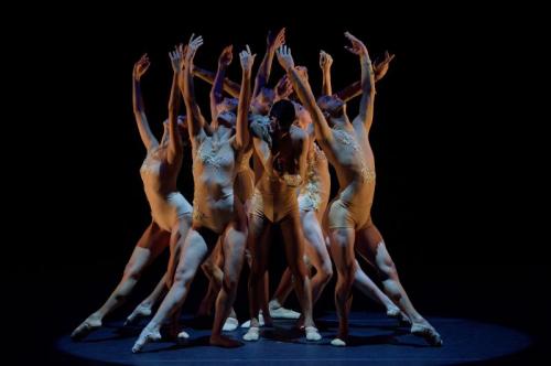 Shame - Danze Contro La Violenza A Firenze - Firenze