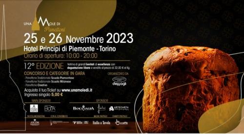 Una Mole Di Panettoni A Torino - Torino