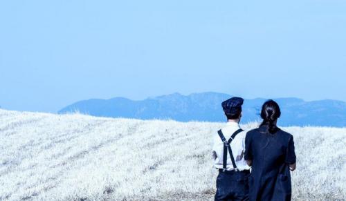 Interconnessioni Di Tersicorea A Settimo San Pietro - Settimo San Pietro