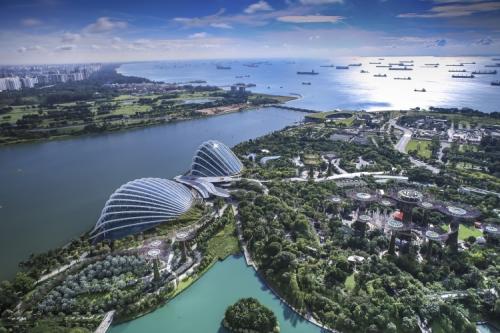 World Forum On Urban Forests A Mantova - Mantova