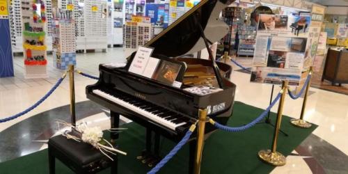 Musicandola: La Muisca Un Gioco! A Pordenone - Pordenone