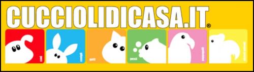 La Fiera Cuccioli Di Casa - Parma