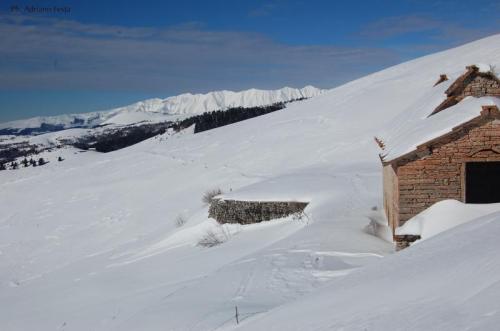 L'ululato Del Lupo In Lessinia - Bosco Chiesanuova