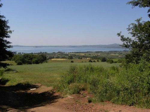 Escursione Sportiva Assaggio Di Francigena - San Lorenzo Nuovo