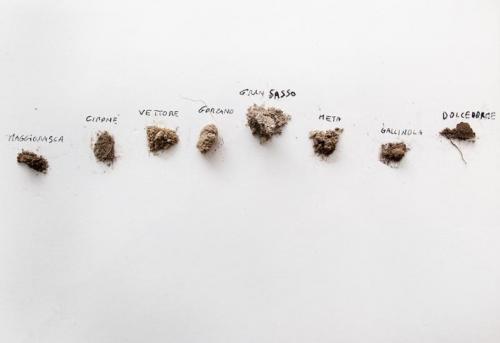  Eventi Mostre Ad Albumarte - Roma